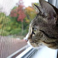 Москитная сетка